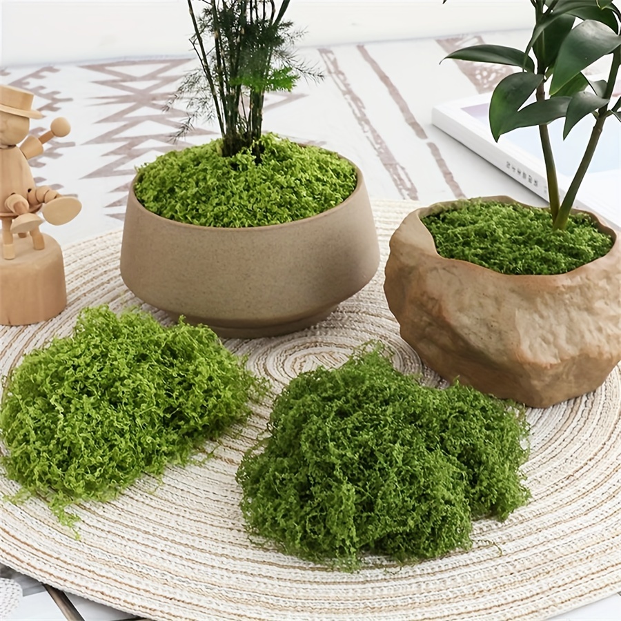 1 paket Yapay Sahte Yosun, 1.0 - Terrarium Moss Art incelemesi ve fiyatı
